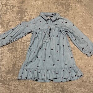 Zara Light Blue Kids Dress with Floral Embroidery